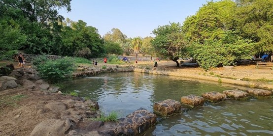 פארק הירדן - רשת מלונות אמיליס אביב